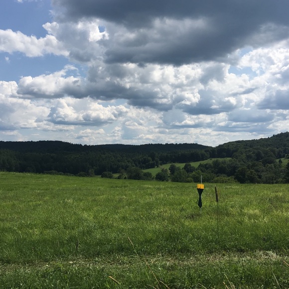 Meet your Posher, Emma - Picture 1 of 1